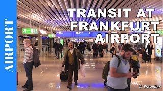 TRANSIT WALK AT FRANKFURT Airport FRA Terminal 1  Connection Flight Transfer Arriving amp Departing [upl. by Orazal]