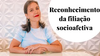 Reconhecimento de filiação socioafetiva  Natália Fachini [upl. by Nollad]